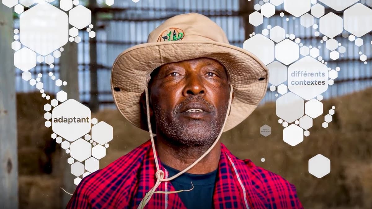 Introduction à Next.js 15